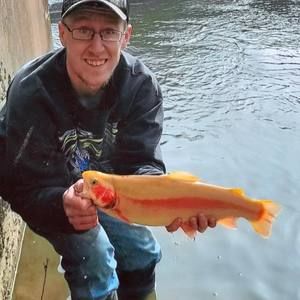 Meet your Posher, Kyler